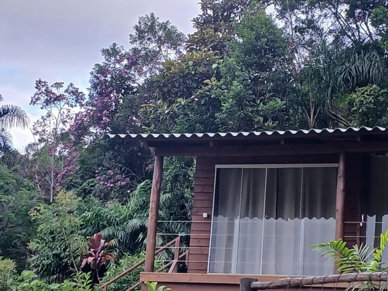 Manaca Da Serra Morretes